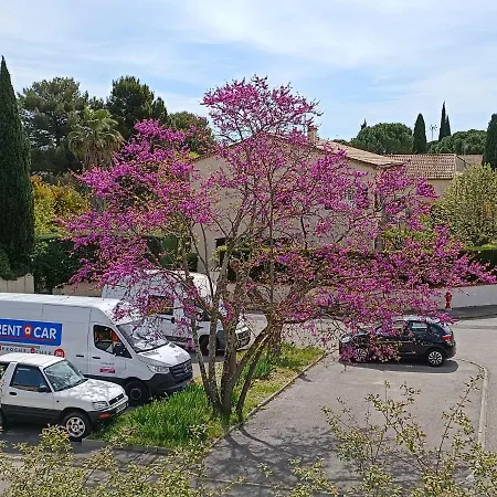 L'oasis Paisible Castelnau-le-Lez